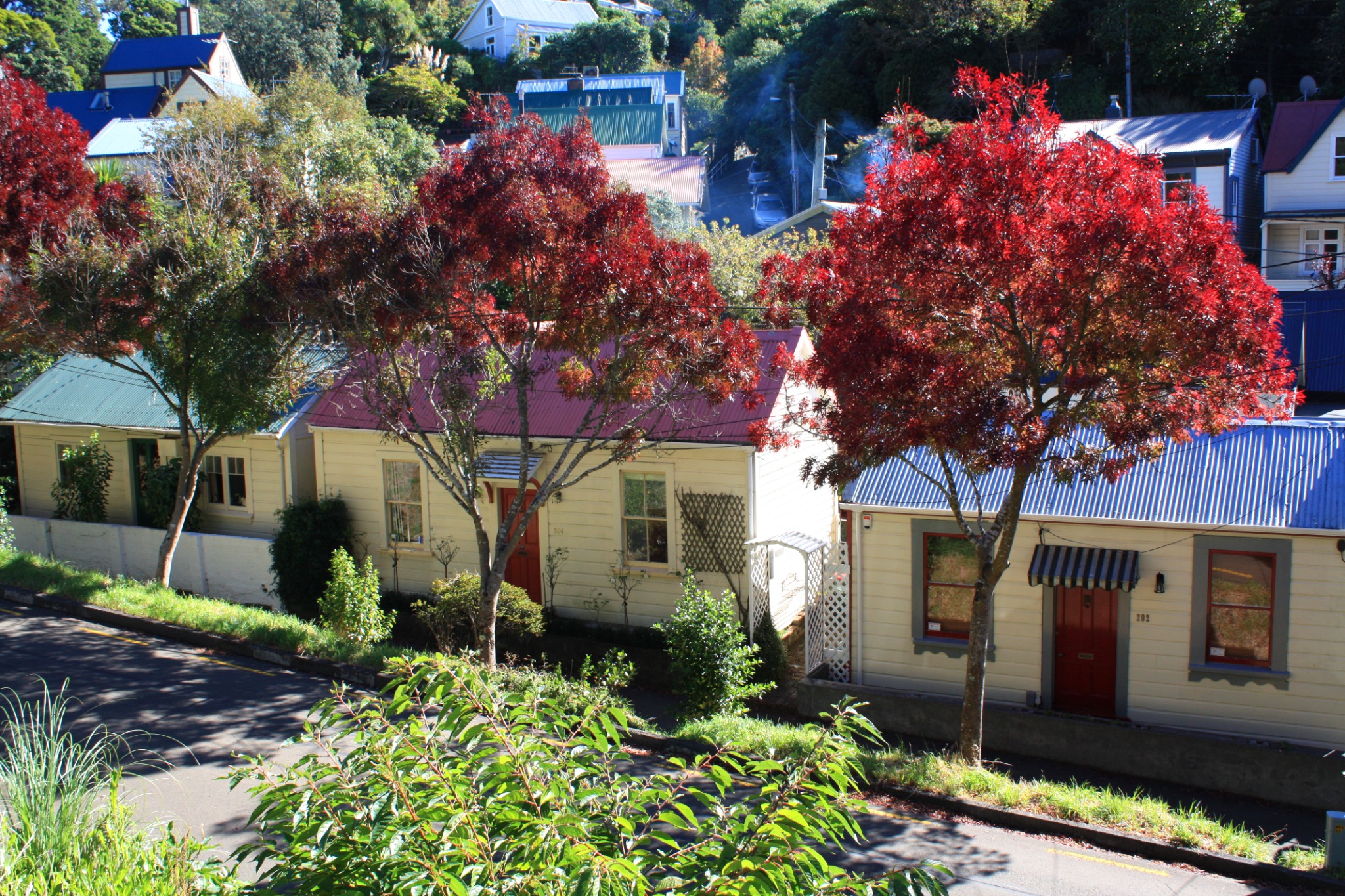 Historic Wellington — Thorndon